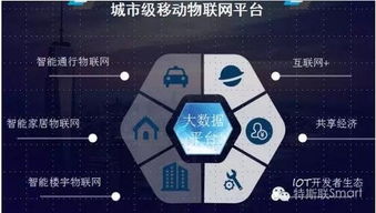 2016中國物業(yè)百強(qiáng)首秀 特斯聯(lián)科技以物聯(lián)網(wǎng)與車聯(lián)網(wǎng)破解智慧城市最后一公里難題