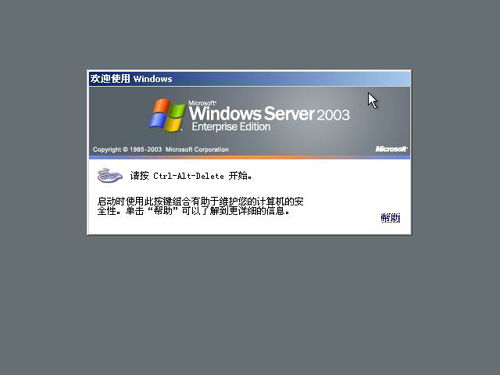 計算機服務器Windows Server操作系統安裝與基礎系統服務配置指南